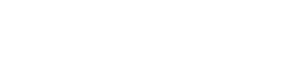 Blackhawk Software, LLC